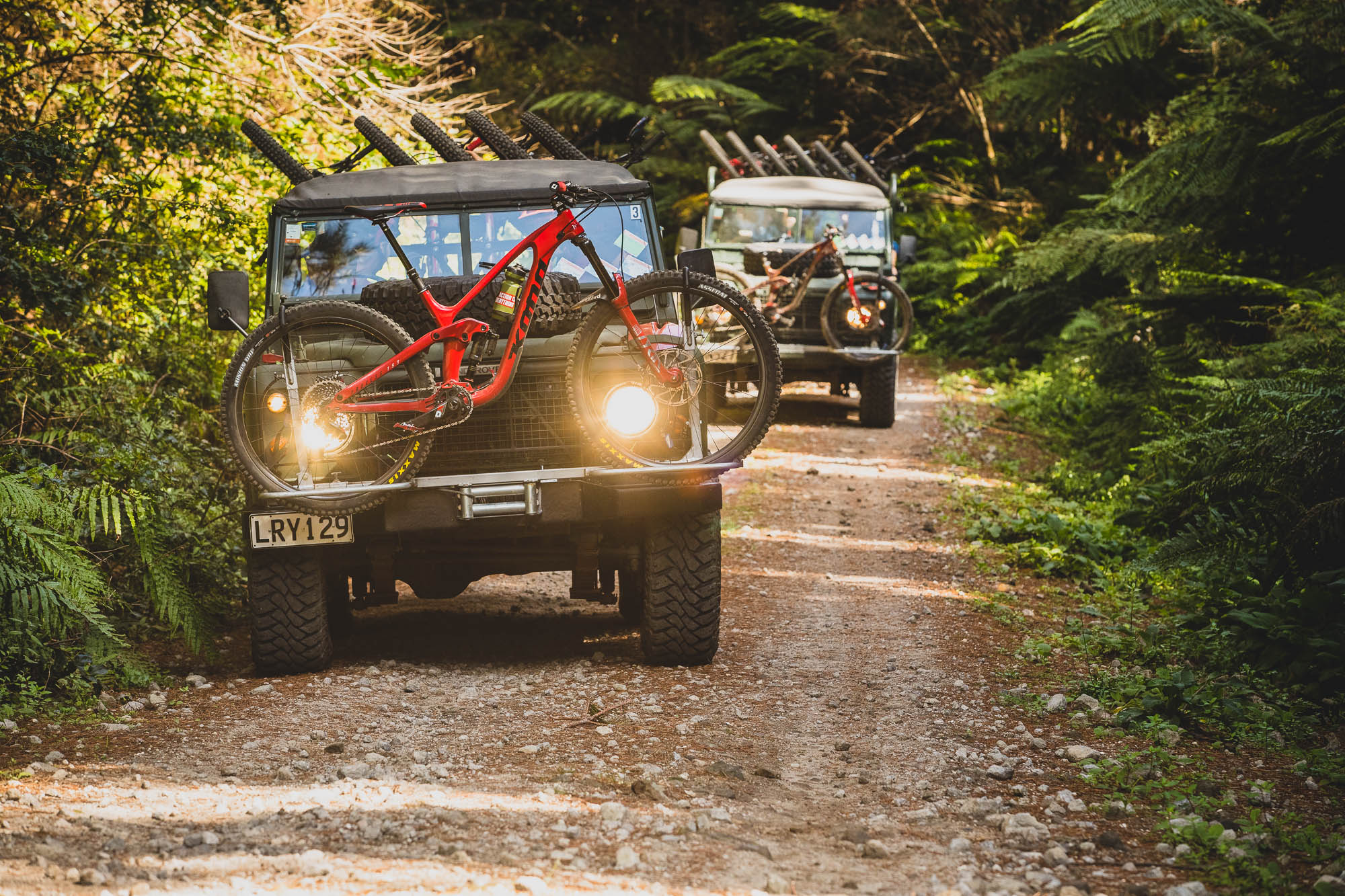 Into the Woods: Kona’s Gravity Team Ride Rotorua with the Locals