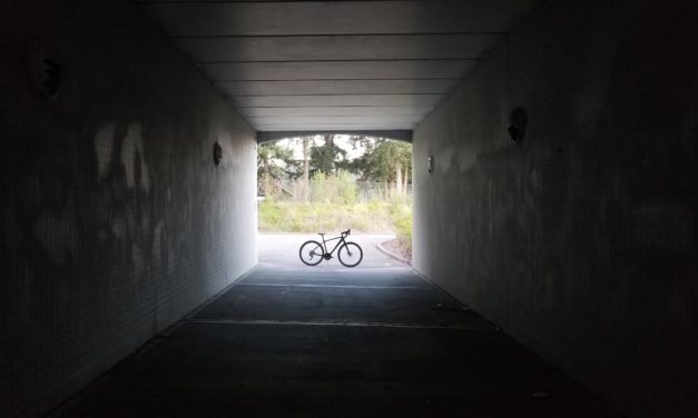 In Pursuit of a Dream Build