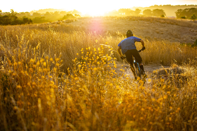 A Message From IMBA on COVID-19