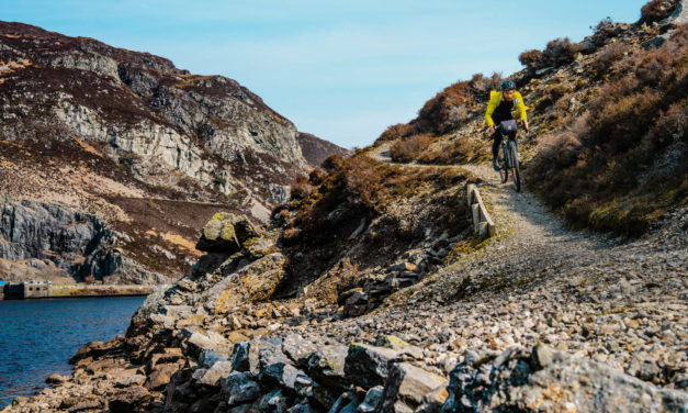 Bridleway Light