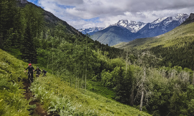 Matt Harris Enters OneUp’s Pain Cave on The Longest Day