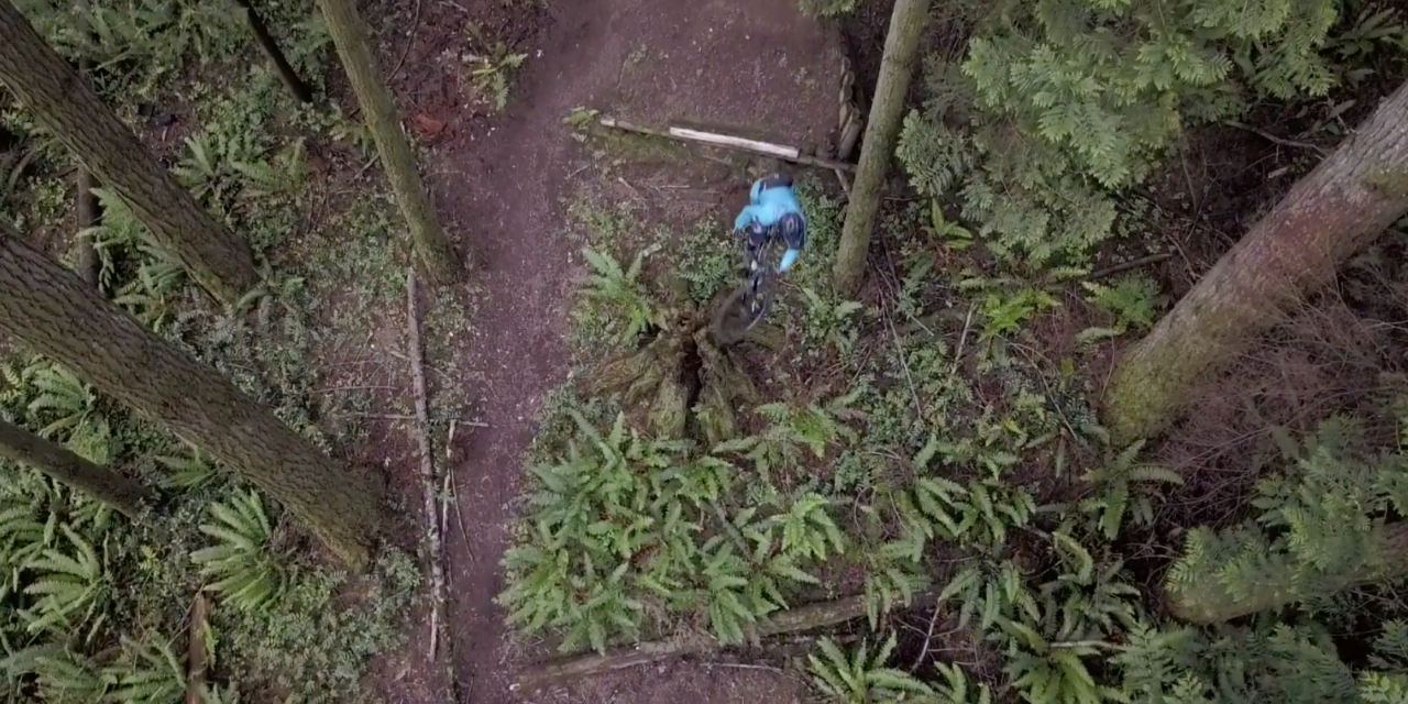 Hannah Bergemann + Tenet Components = Cinematic Gold