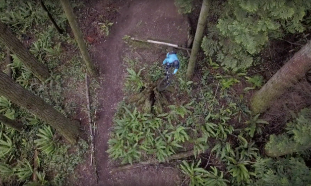 Hannah Bergemann + Tenet Components = Cinematic Gold