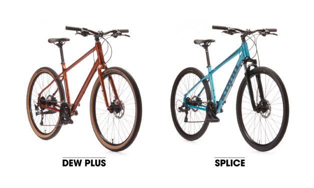 Your 2020 Dews, Splice and Coco Have Arrived!