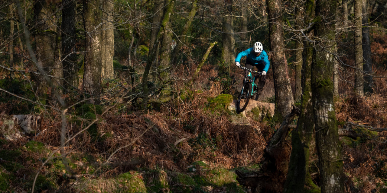 Torn Between Two Hemispheres