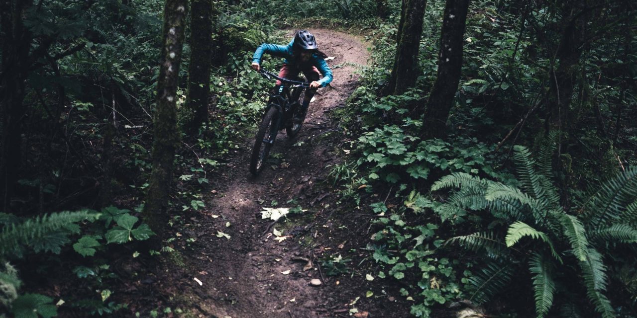 Wash, Rinse, Repeat.