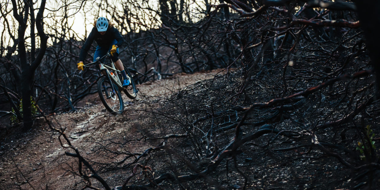 Burned Lines: Barry Wicks and Robin Sansom Explore the Aftermath of California’s Fires