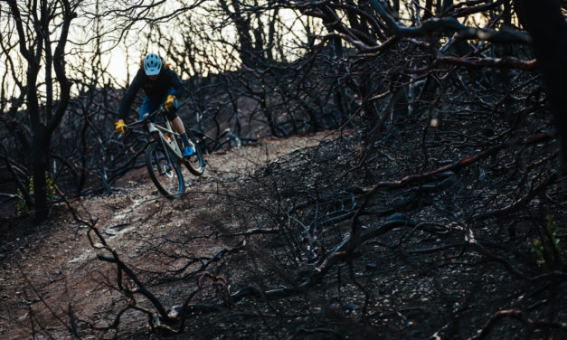 Burned Lines: Barry Wicks and Robin Sansom Explore the Aftermath of California’s Fires