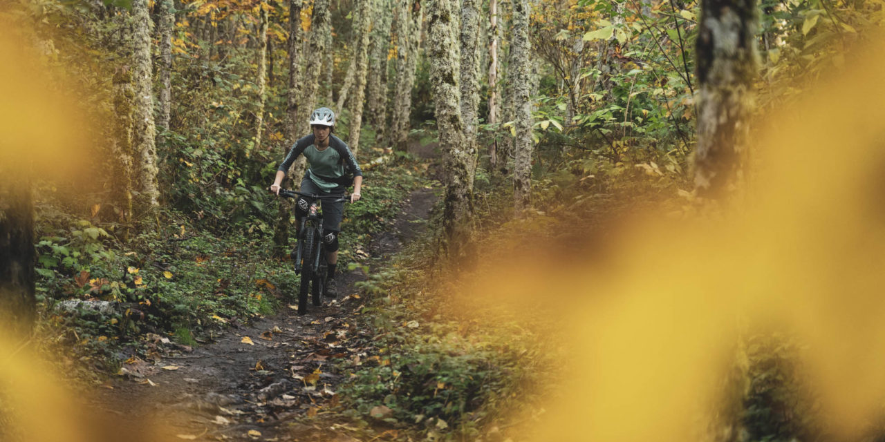 A Predator’s Paradise