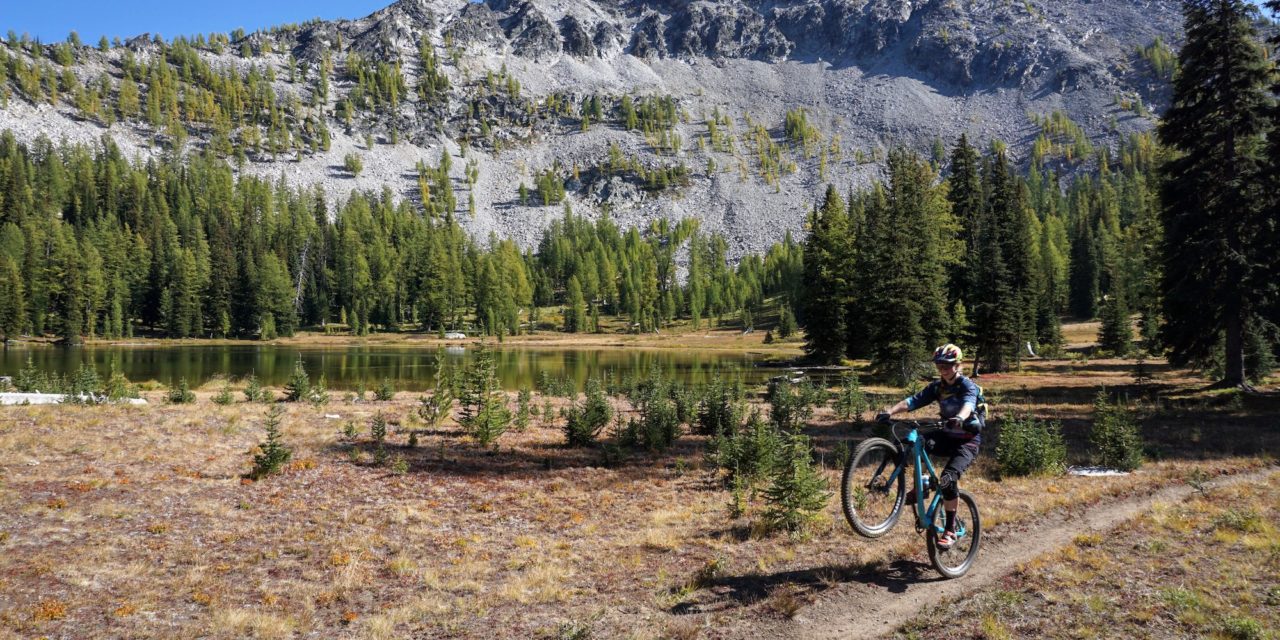 Lost and Found: An Ode to My Honzo