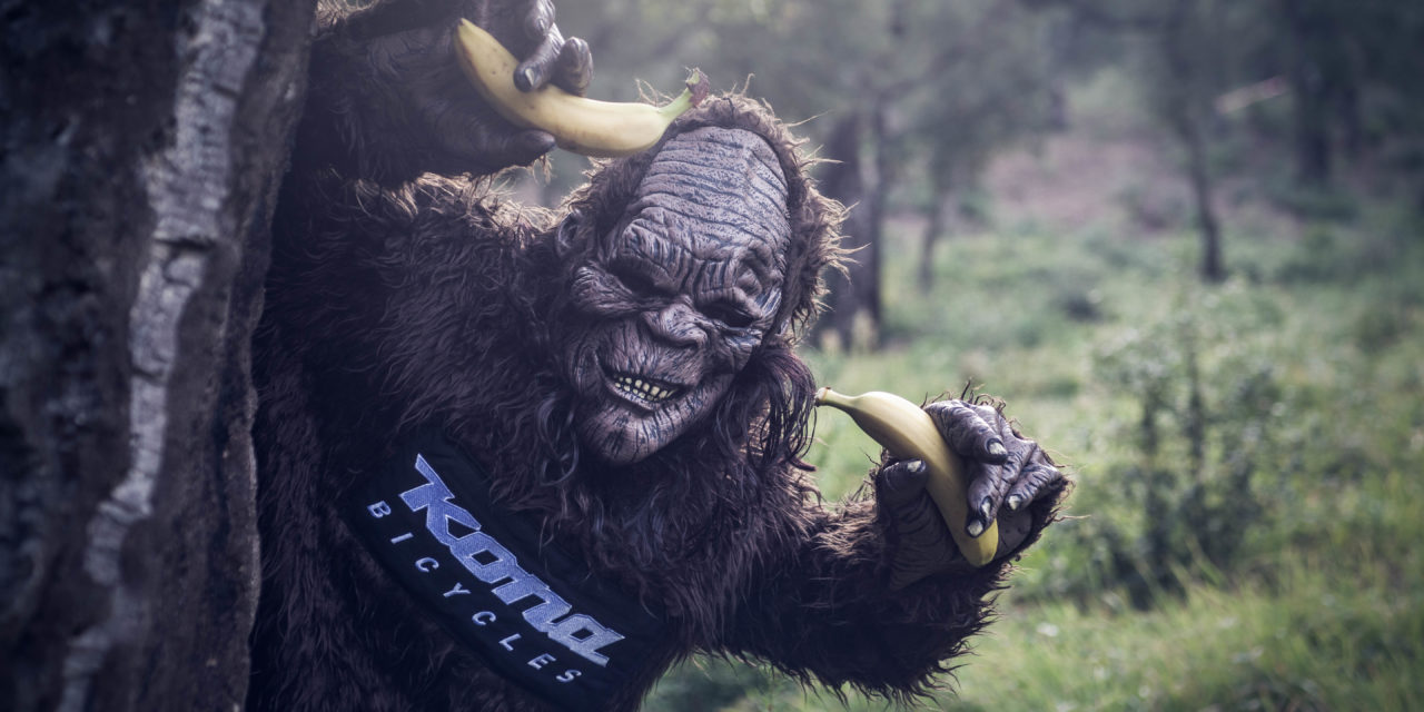 konasquatch went bananas at Roc d’Azur !