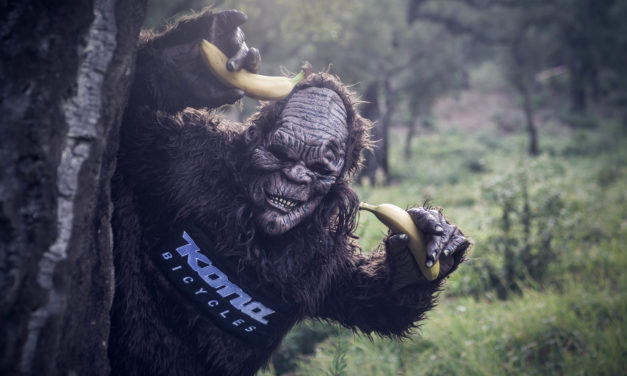 konasquatch went bananas at Roc d’Azur !
