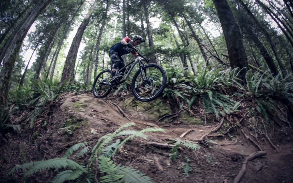 Process 134 Named a Hottest 2020 Trail Bike