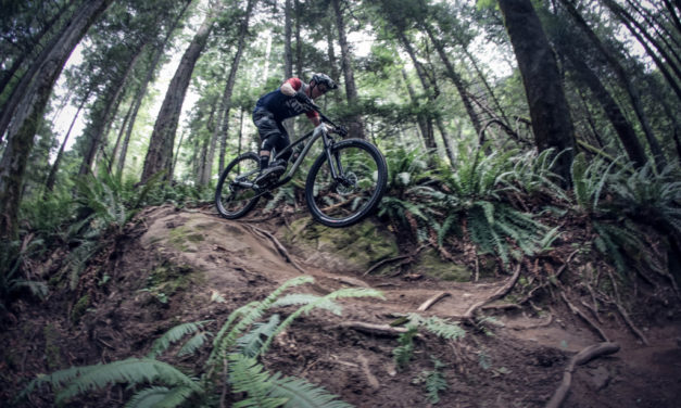 Process 134 Named a Hottest 2020 Trail Bike