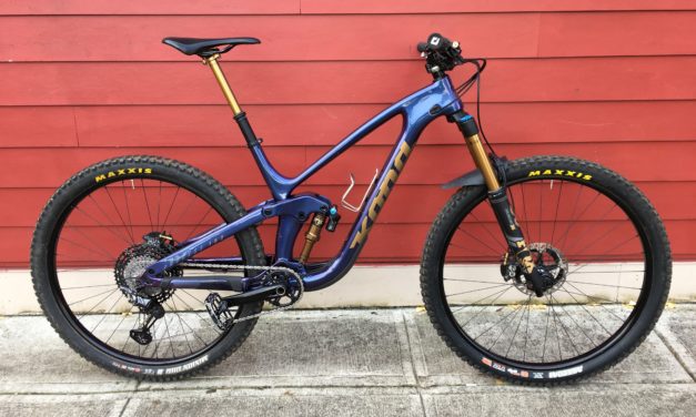 Kona Dream Builds: Going for Gold, Cary’s Kashima Coated Process 153 CR DL