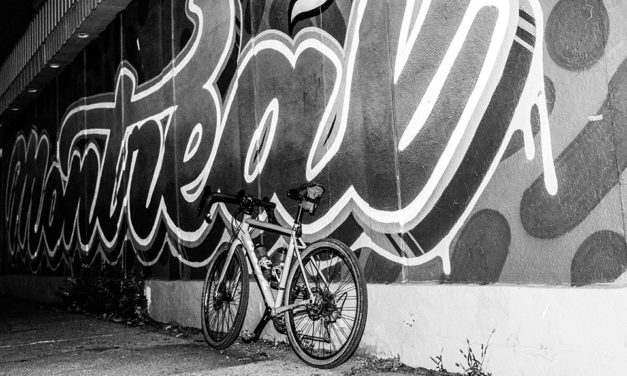 Alleycat Party 2019