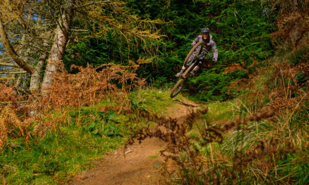 Finding Flow on Lost Trails