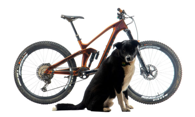 Dream Build: Meet Merlin, Lacy Kemp’s Magical Process 153 CR DL 27.5