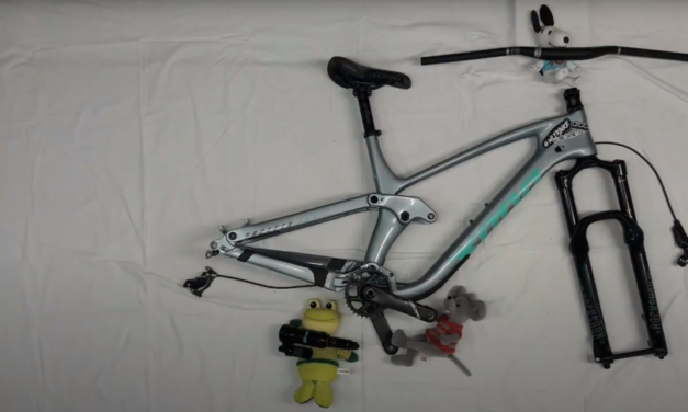 Creative Stop Motion: Process 153 CR DL 27.5 and Stuffies