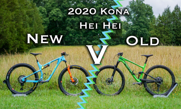 New V. Old: A Competition Of Hei Hei’s