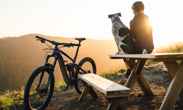 Grounded: A Trailbuilding Story