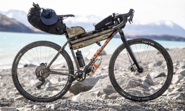 Odin Woods Tackles the Second Annual Kiwi Beervet