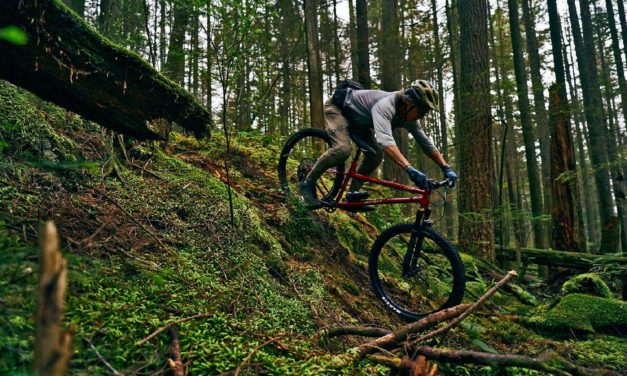 NSMB Posts Their Honzo ESD First Impressions ” I was hooked after the first two-minute descent.”