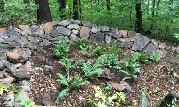Rock Berm, Turn 19