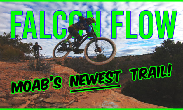 Falcon Flow
