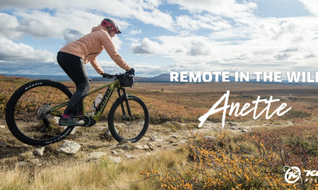 Remote in the Wild: Anette