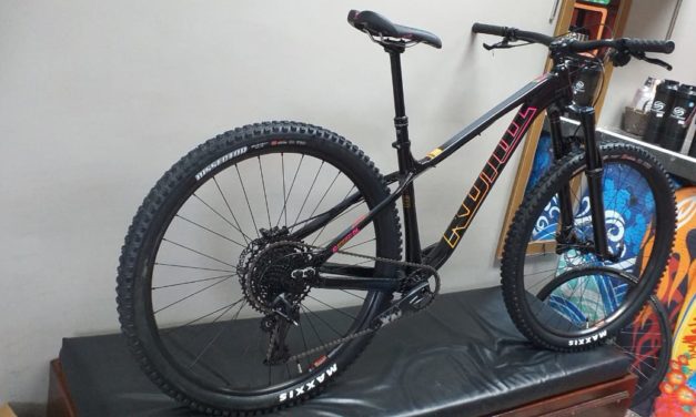 Mud Sweat & Gears: First Ride on the Honzo DL