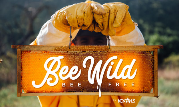 Bee Wild, Bee Free