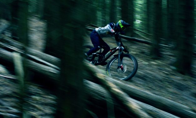 Miranda Miller X Cypress