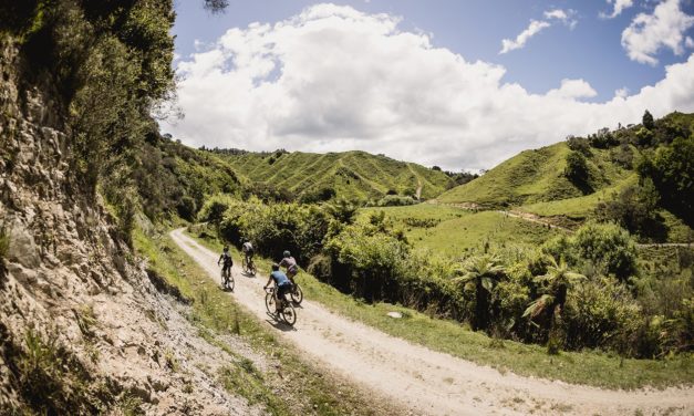 Dirty Detours 2020 Recap