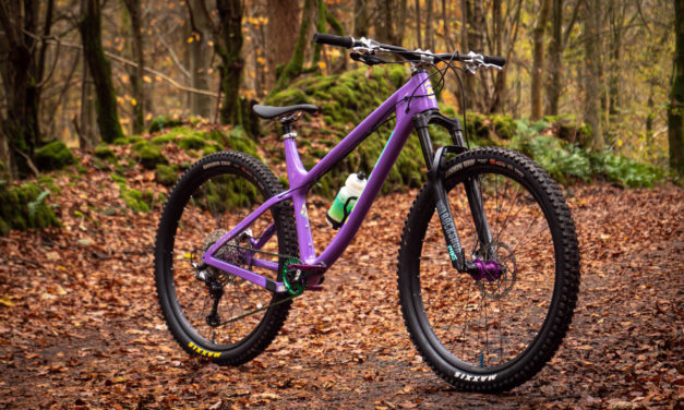 Graham’s Purple Candy Big Honzo CR DL