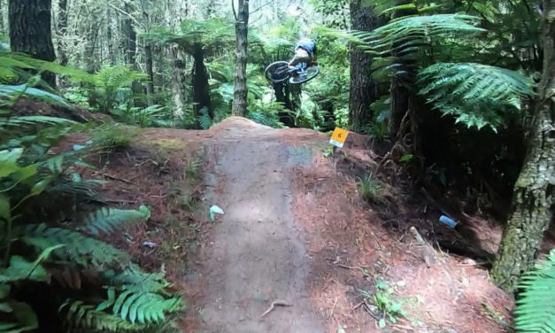 Elliot Smith Gets Playful on the Process X