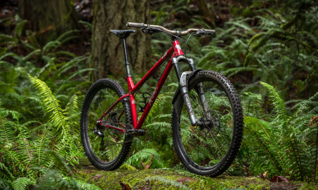 Kona Dream Builds: Finn’s ESD Loves it Steep and Deep