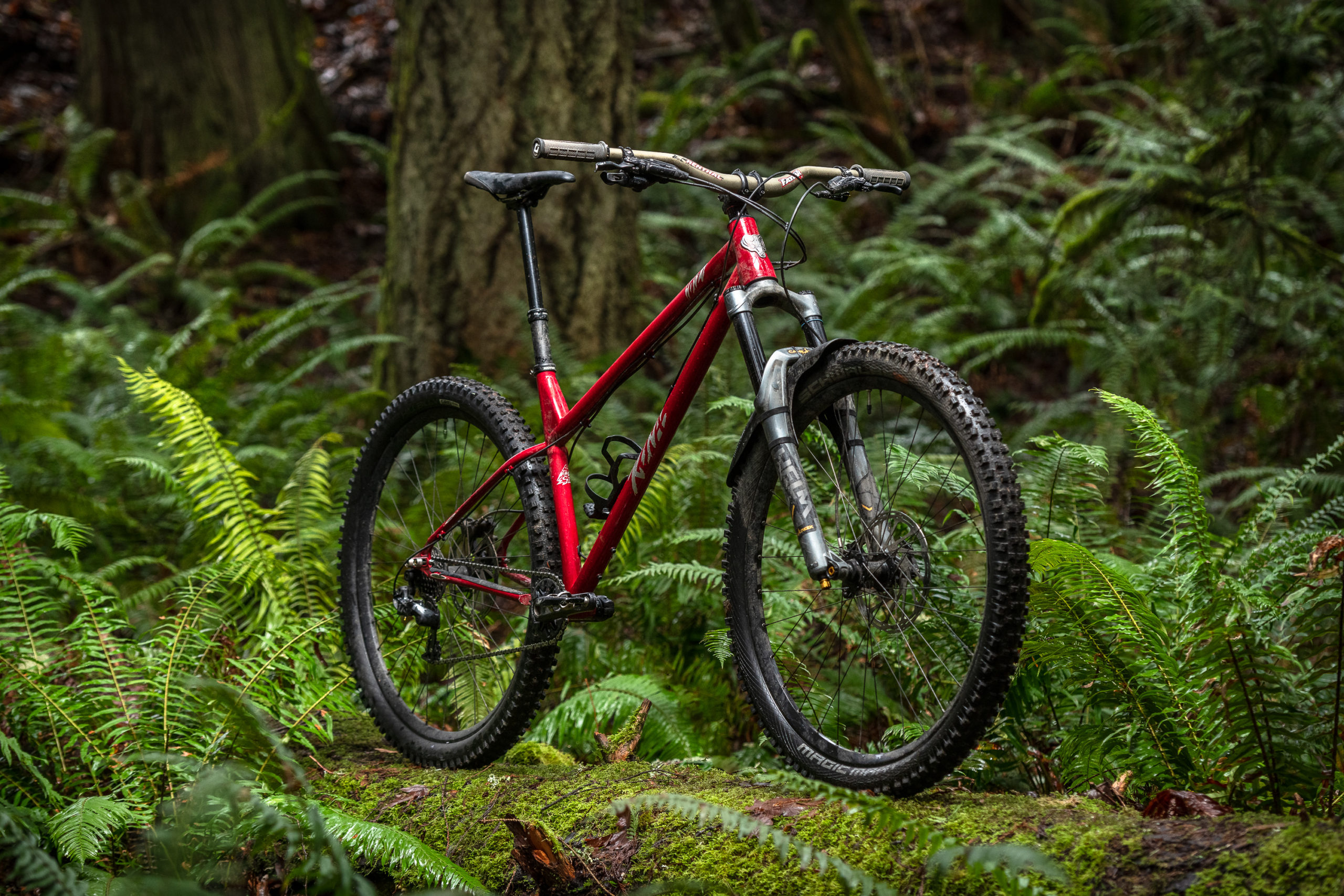 emickelson_210129_0349