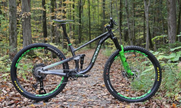 Kona Dream Builds: Lionel the Process 134 29