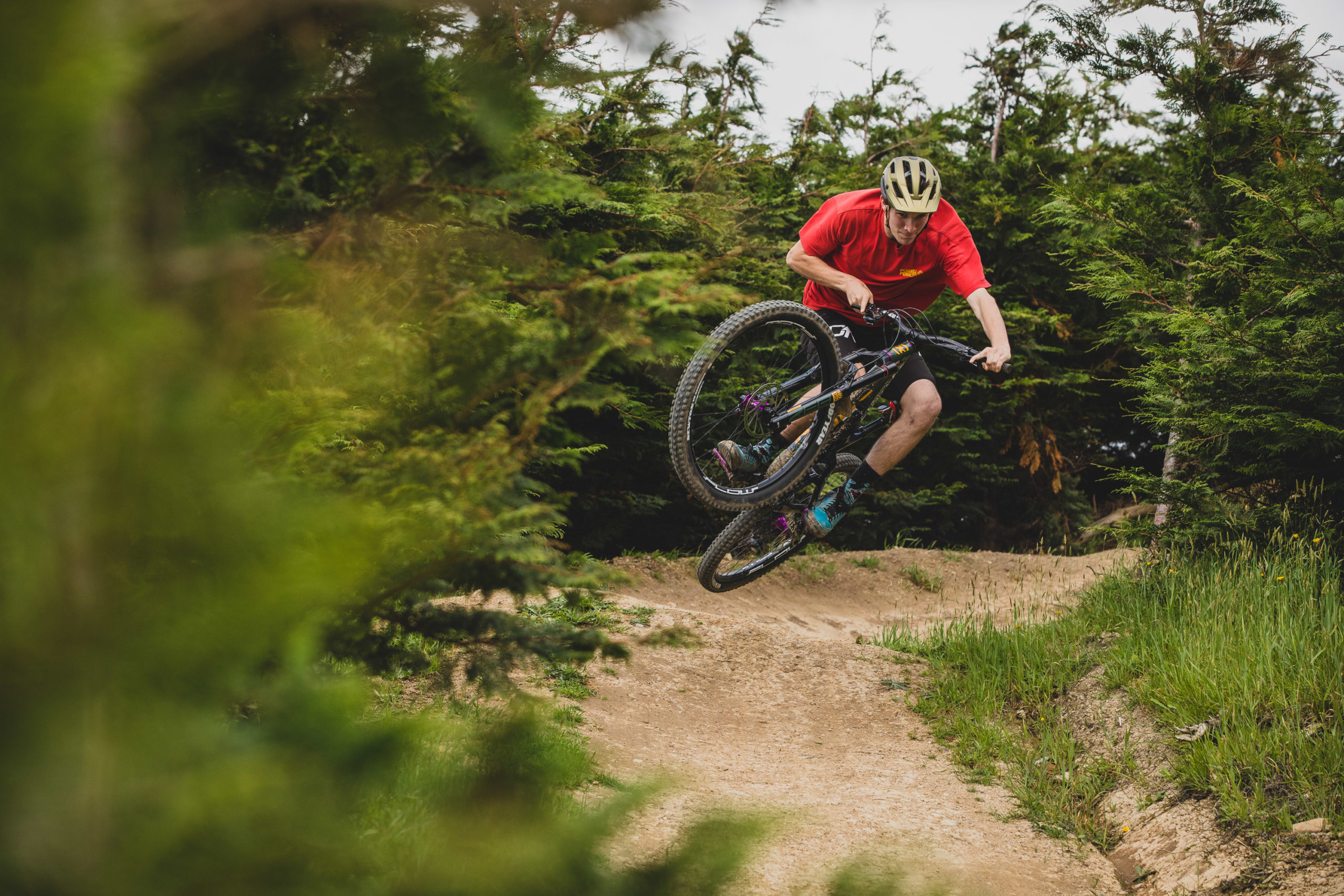 Arapuke Dec 2020-7166