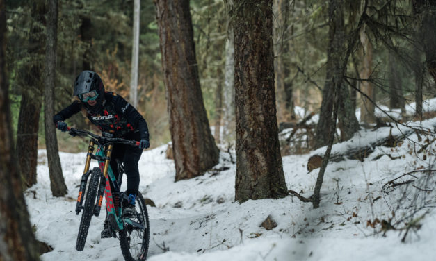 New Beginnings-Kyleigh Stewart Welcomes Spring