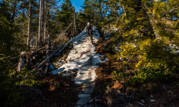 New Beginnings: Spring Thaw
