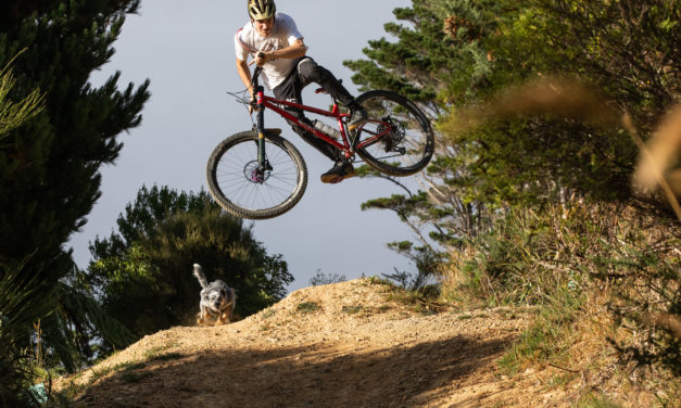 Kona INSTANT Trail Dogs available in Web store now