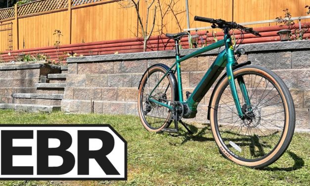 Electric Bike Review Takes a Deep Dive into the Dew E DL