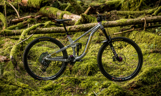 Kona Dream Builds: Checkers or Wreckers, Miranda’s Process 153 AL