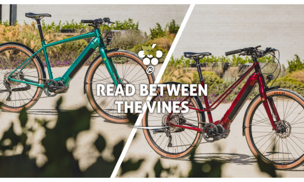 Read Between The Vines On The ECoco-DL and DewE-DL