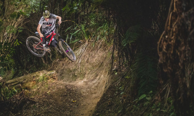 Honzo ESD: An Ambassador Goes back to the Beginning, again