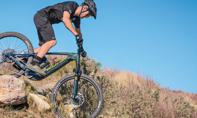 Electric Bike Action Reviews The Remote 160 DL