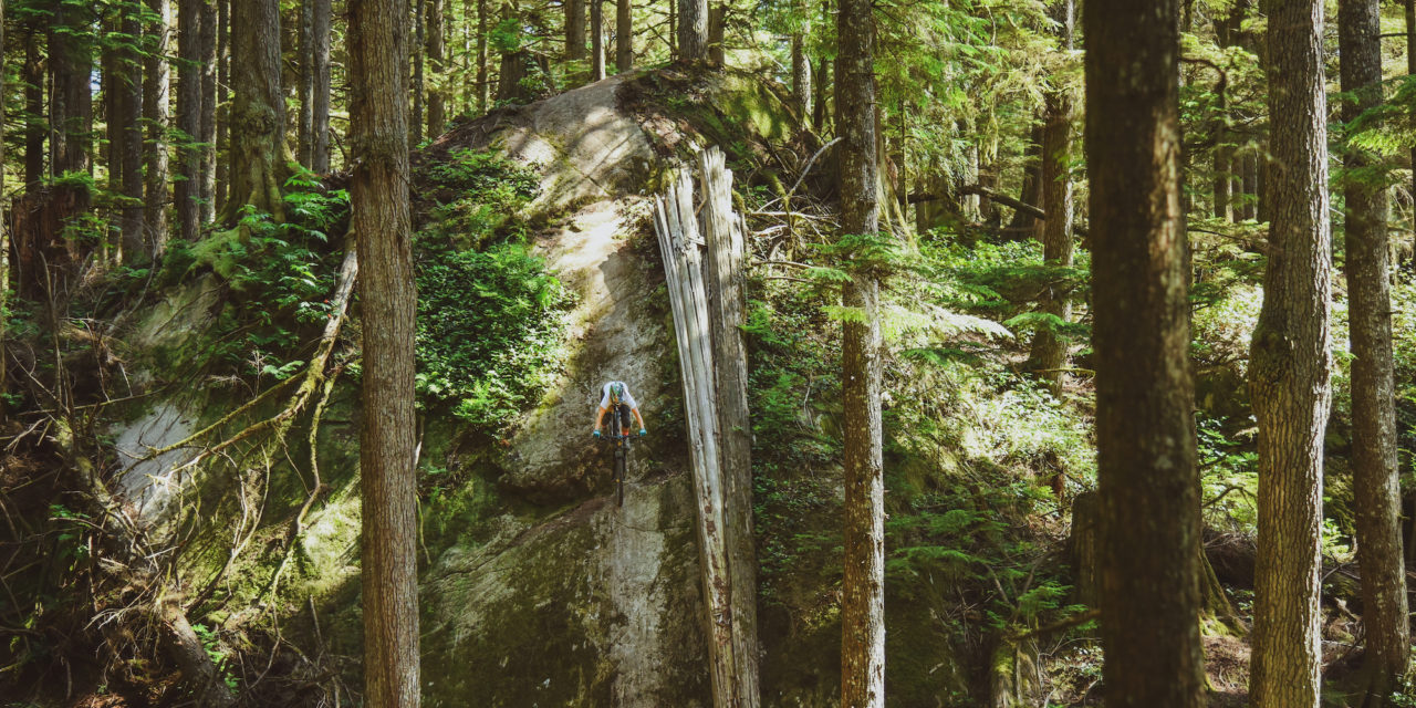 Summer Dreams: Conquering Demons