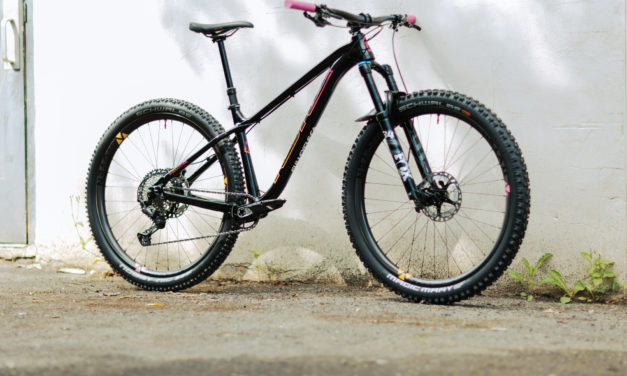 Kona Dream Build: Darryl’s Honzo DL